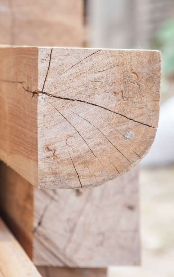 Nahaufnahme eines Holzblocks